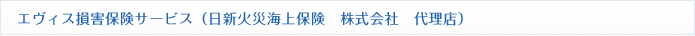 エヴィス損害保険サービス（日清火災海上保険株式会社　代理店）